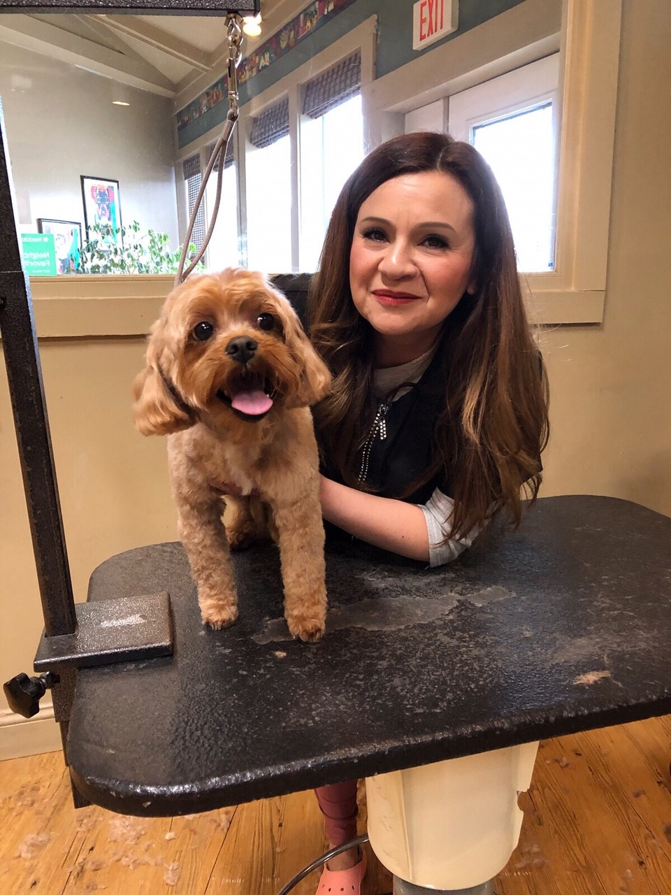 A woman holding a dog on a pet grooming table